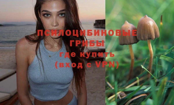 эйфоретик Балахна