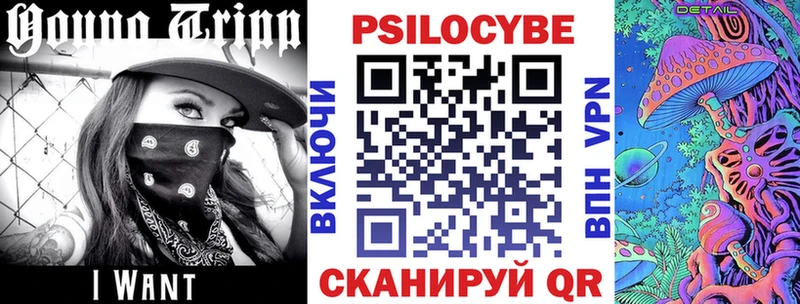 Псилоцибиновые грибы GOLDEN TEACHER  Купить где  Мышкин 